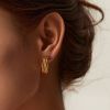 Geometric Titanium Steel Earrings In 18K Gold
