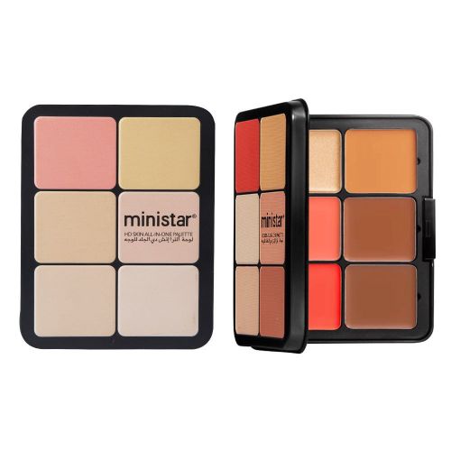 Skin Color Multicolor Rouge Compact Concealer Plate